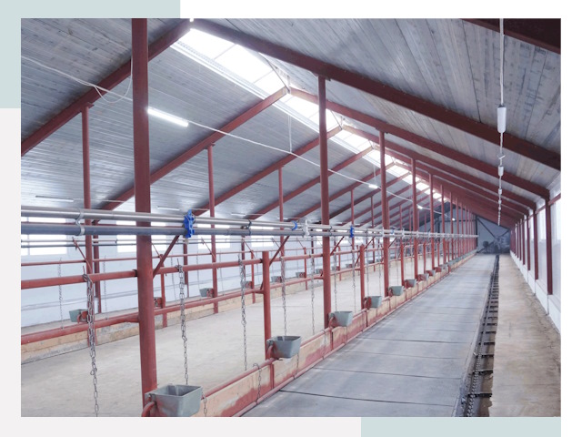 Строительство коровников в Вологде от 616 руб.