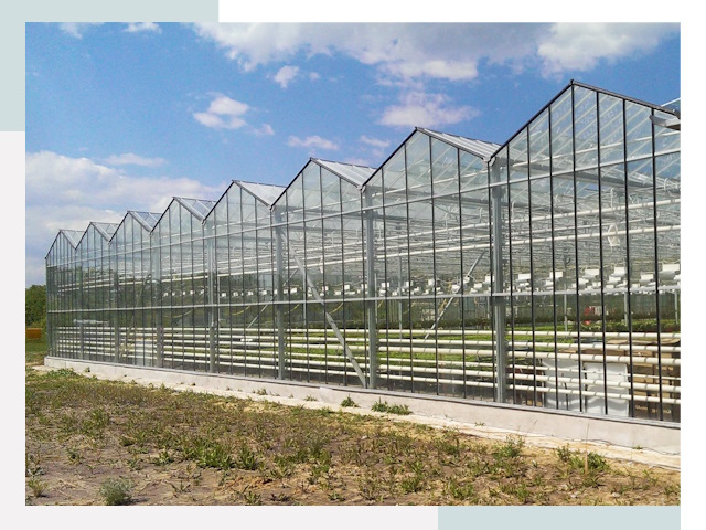 Строительство теплиц в Вологда от 616 руб. за м²