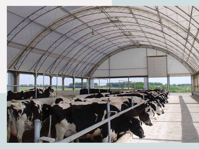 Тентовые коровники в Вологде